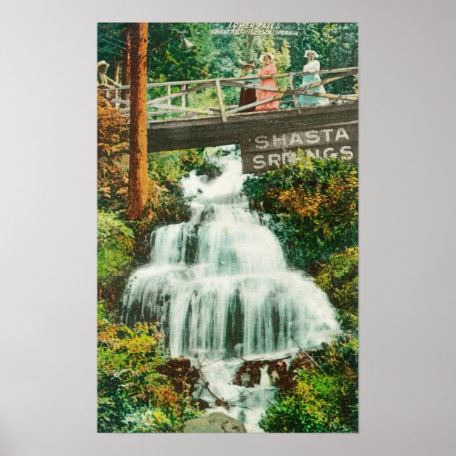 Aussicht auf die Unteren FälleShasta Springs, CA Poster (Vorne)