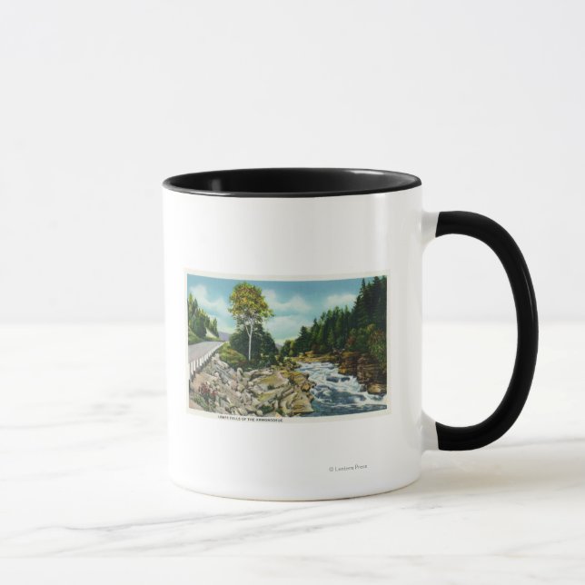 Aussicht auf die Unterwasserfälle des Ammonosuc-Fl Tasse (Rechts)