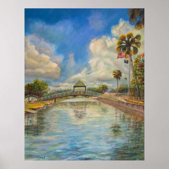 Aussicht auf die Wanderbrücke vom See Poster (Vorne)