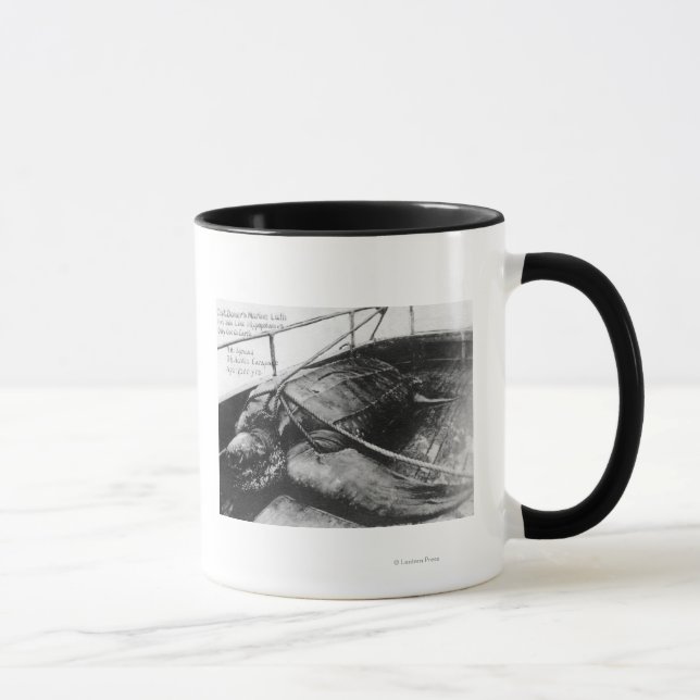 Aussicht auf eine Riesenschildkröte in Gefangensch Tasse (Rechts)