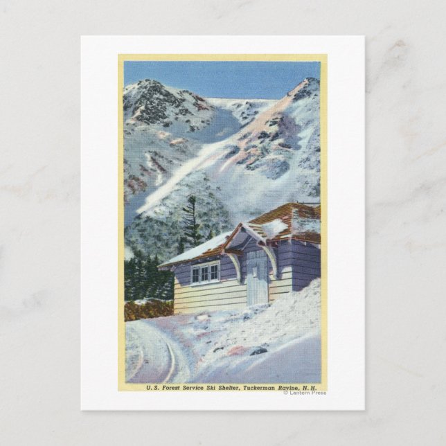 Aussicht auf einen US-Waldschutzhütter Postkarte (Vorderseite)