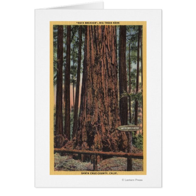 Aussicht auf "Neck Breaker" im Big Trees Park (Vorne)