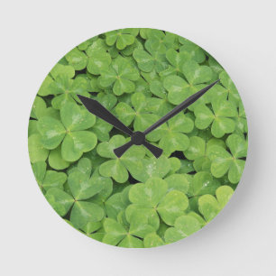 Aussicht auf Oxalis Oregana Wald Sorrel Foliage Runde Wanduhr
