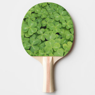 Aussicht auf Oxalis Oregana Wald Sorrel Foliage Tischtennis Schläger