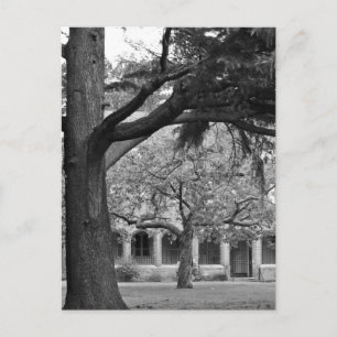 Aussicht auf Park Postkarte