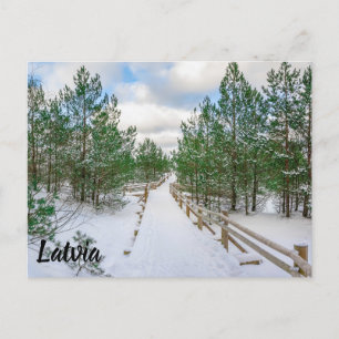 Aussicht auf schneebedeckte Strandpromenade in Kie Postkarte
