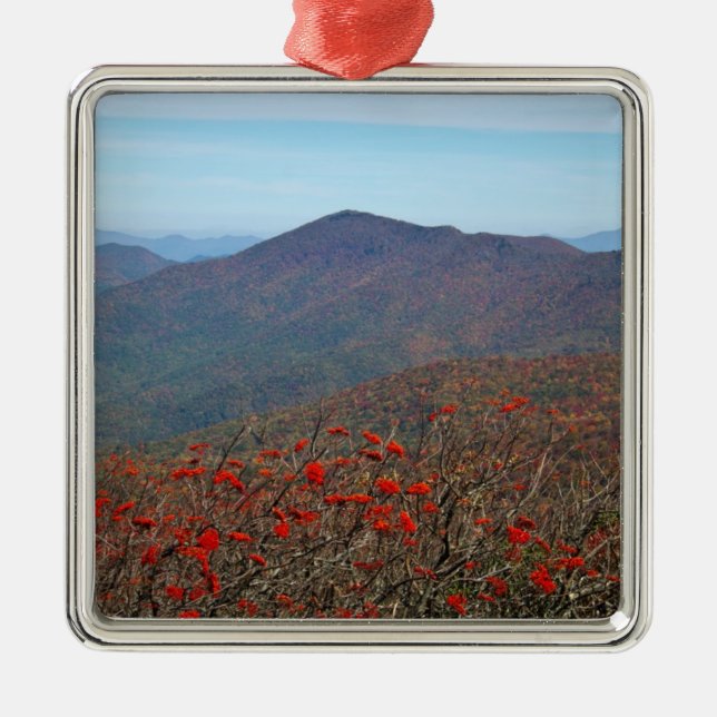 Aussicht vom Craggy Dome Mountain Silbernes Ornament (Vorne)