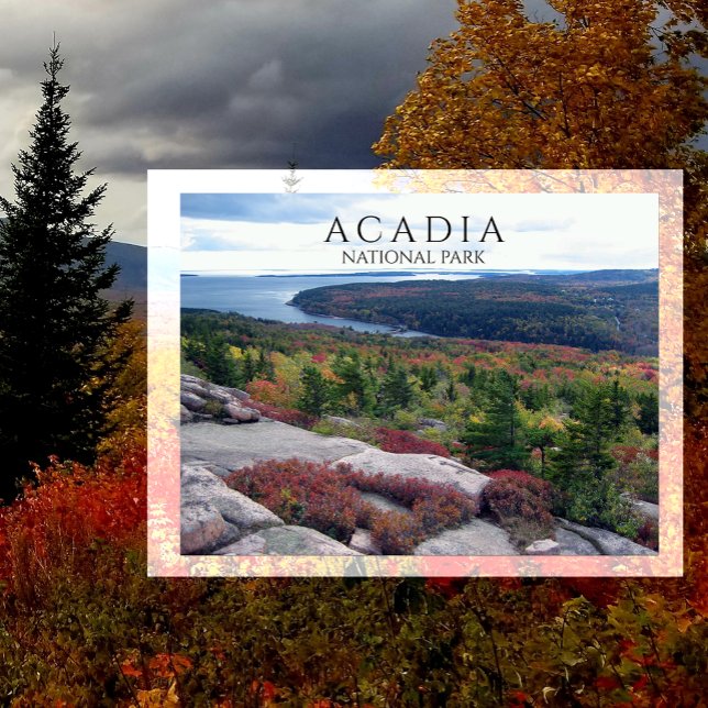 Aussicht vom Gorham Mountain Acadia Nationalpark,  Postkarte (Von Creator hochgeladen)
