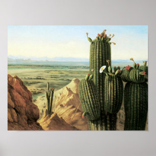 Aussicht vom Maricopa Berg in der Nähe des Gila Ri Poster