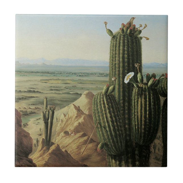Aussicht vom Maricopa Berg in der Nähe von Rio Gil Fliese (Vorderseite)