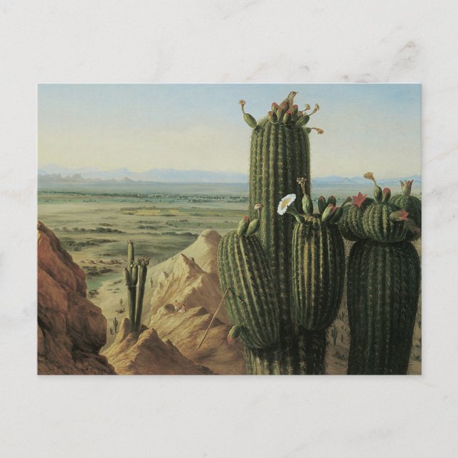 Aussicht vom Maricopa Berg in der Nähe von Rio Gil Postkarte (Vorderseite)
