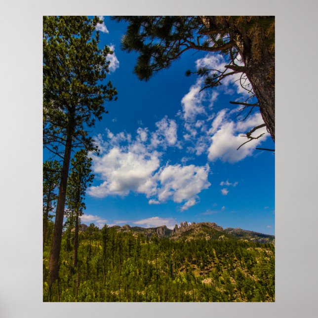Aussicht von der Needles Highway, South Dakota Poster (Vorne)