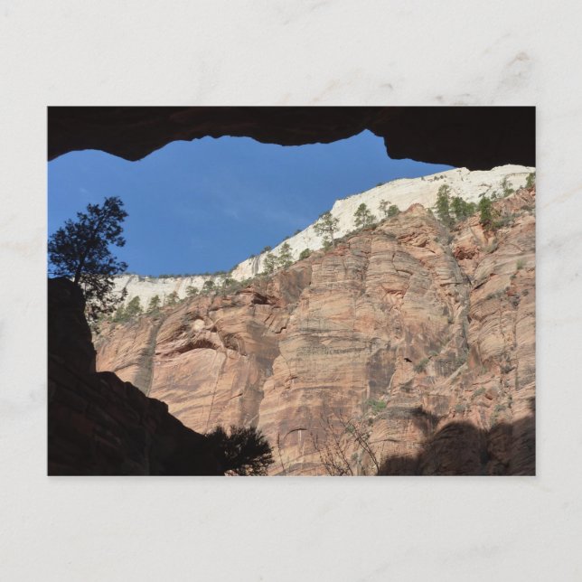 Aussicht von der Teufelstreppe auf den Zion Nation Postkarte (Vorderseite)
