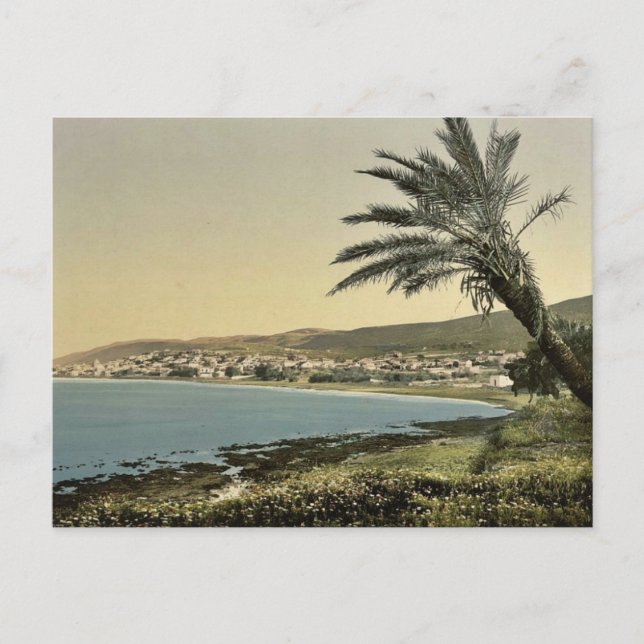 Aussicht von nahe am Fuße des Berges Carmel, Chaif Postkarte (Vorderseite)