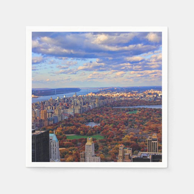 Aussicht von oben: Herbst im Central Park 01 Serviette (Vorderseite)