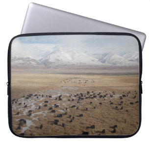 AUSSICHT VON ZUG ZU TIBET LAPTOPSCHUTZHÜLLE