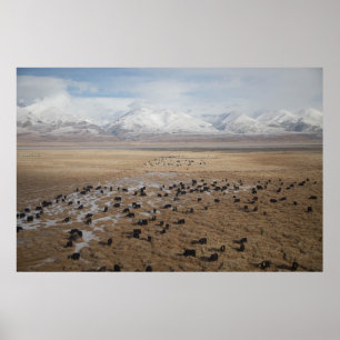 AUSSICHT VON ZUG ZU TIBET POSTER