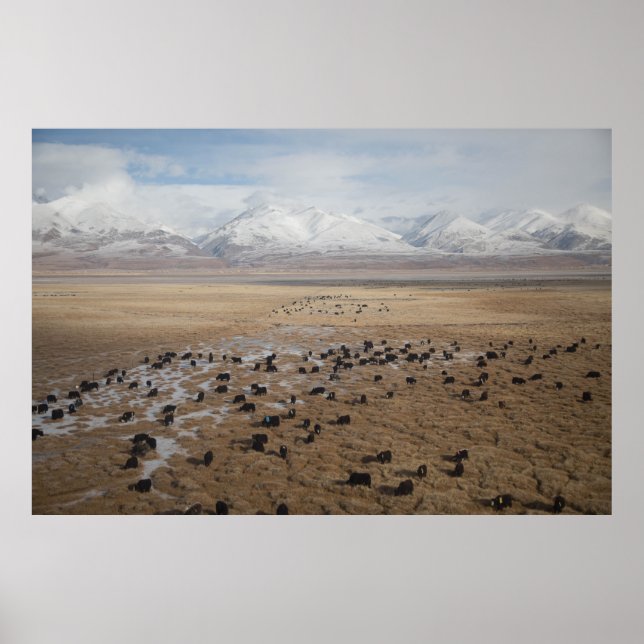 AUSSICHT VON ZUG ZU TIBET POSTER (Vorne)