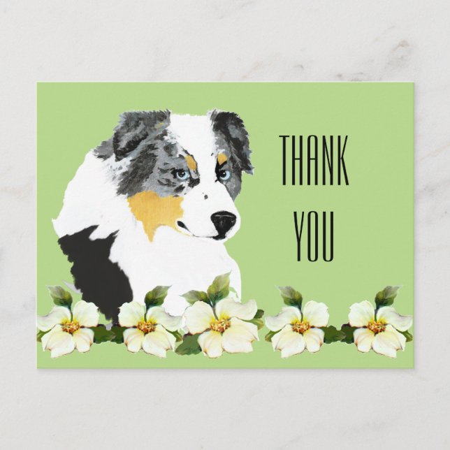 Aussie Blue Merle Dog Vielen Dank Postcard Postkarte (Vorderseite)