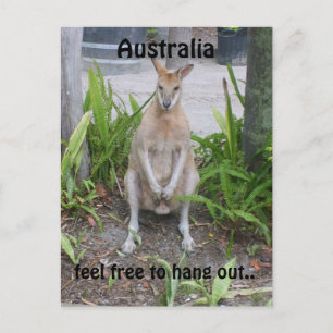 Aussie Boy, carte postale