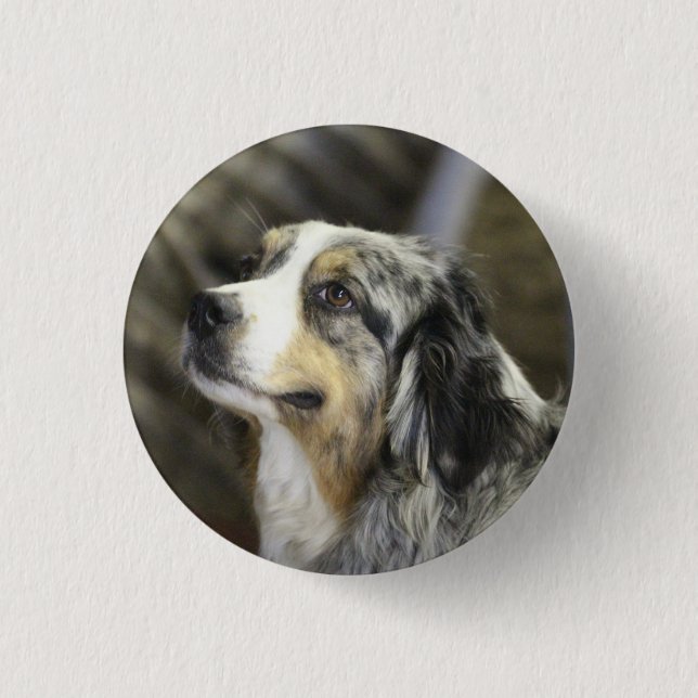 Aussie Button (Vorderseite)
