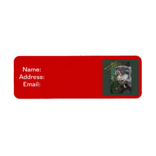 Aussie Christmas Koala mit Candy Cane