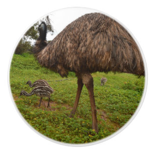 Aussie Emu mit Chicks, Keramikknauf