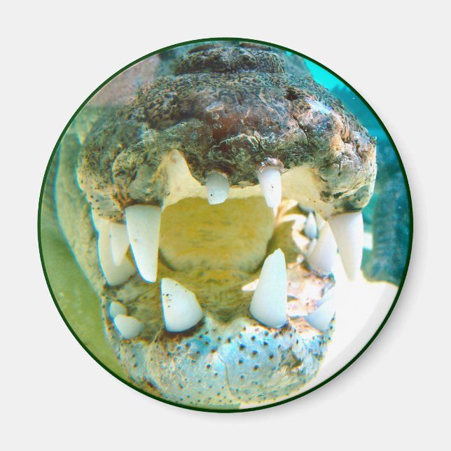 Aussie Icon - Big Croc Terry - Magnet (Vorne)