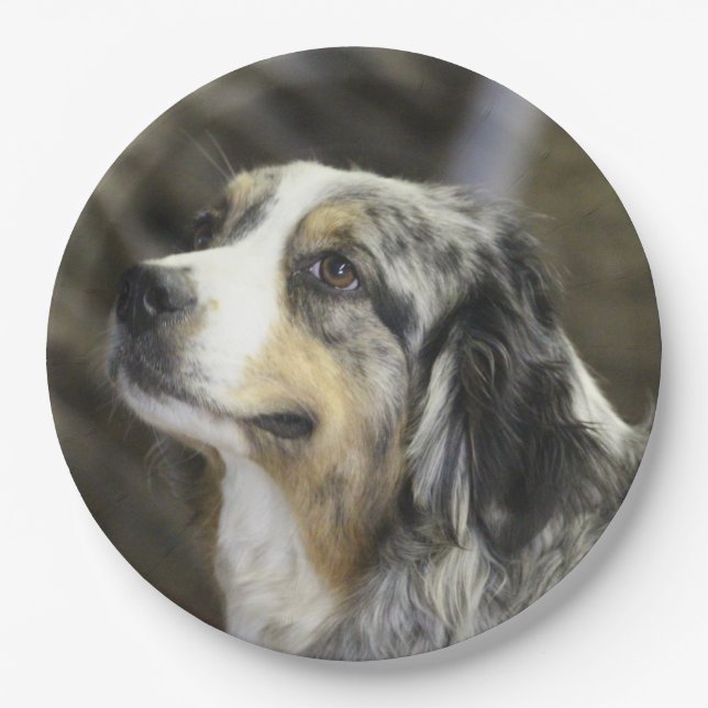 Aussie Pappteller (Vorderseite)