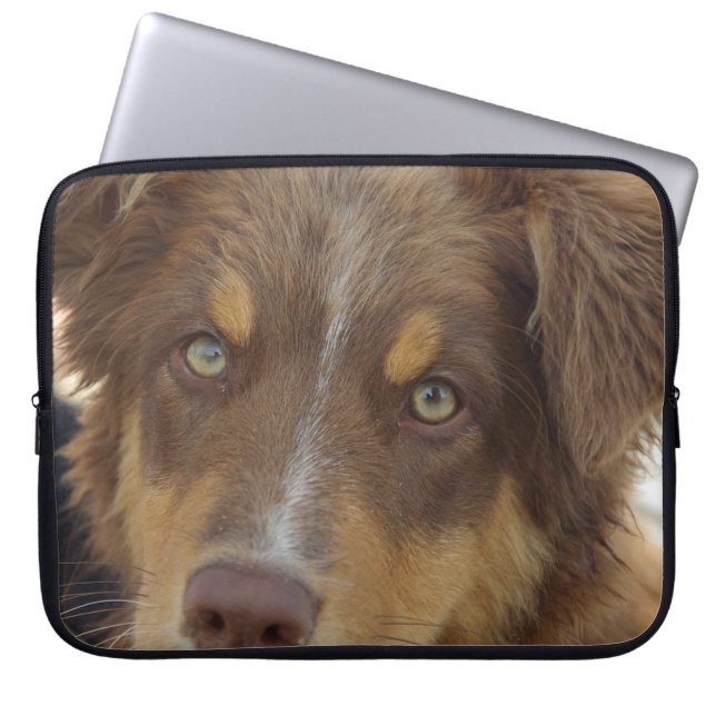 aussie red tri pup laptopschutzhülle (Vorderseite)