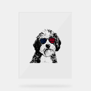 Aussiedoodle Chien 4 juillet Amérique États-Unis D