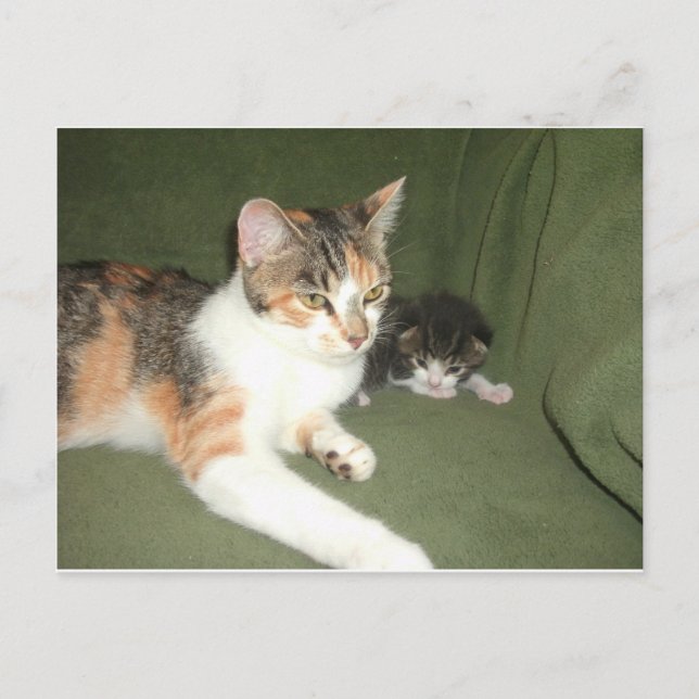 Austauschen Postkarte (Vorderseite)