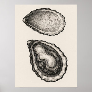 Austernschalen-Minimalist-Küsten-Skizzen-Kunstpost Poster