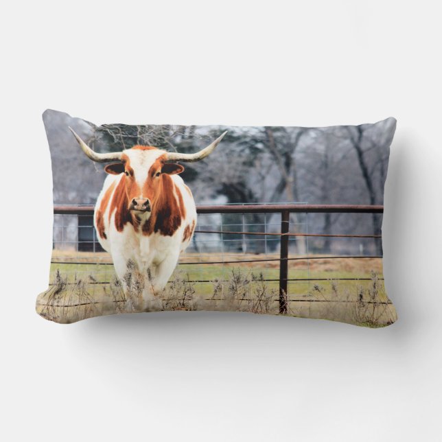 Austin le coussin lombaire de Longhorn (Recto)