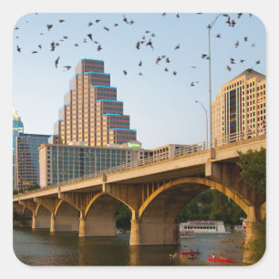 Austin, Texas mit Fledermäuse Quadratischer Aufkleber