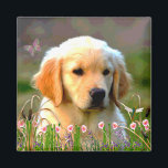 Austin The Golden Labrador Magnet<br><div class="desc">Dieser bezaubernde kleine Typ ist jeder Lieblings-Labrador-Welpe mit seinem goldenen,  weichen Fell und süßen Ausdruck. Er sitzt auf einem Feld aus rosa Island-Pupien. Er wird von seinem Menschen,  Michio,  und allen,  die ihn treffen,  sehr geliebt.</div>