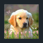 Austin The Golden Labrador Magnet<br><div class="desc">Dieser bezaubernde kleine Typ ist jeder Lieblings-Labrador-Welpe mit seinem goldenen,  weichen Fell und süßen Ausdruck. Er sitzt auf einem Feld aus rosa Island-Pupien. Er wird von seinem Menschen,  Michio,  und allen,  die ihn treffen,  sehr geliebt.</div>