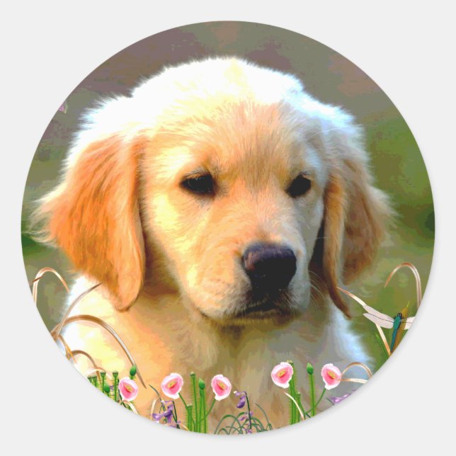 Austin The Golden Labrador Runder Aufkleber (Vorderseite)