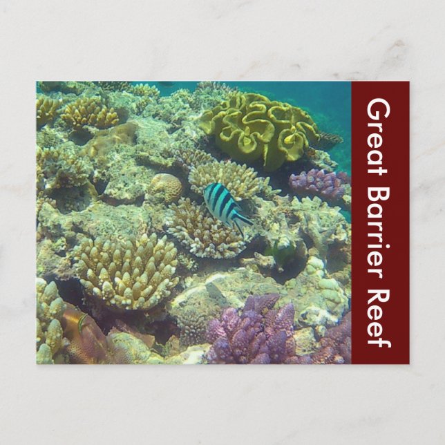 Austra Postkarte (Vorderseite)