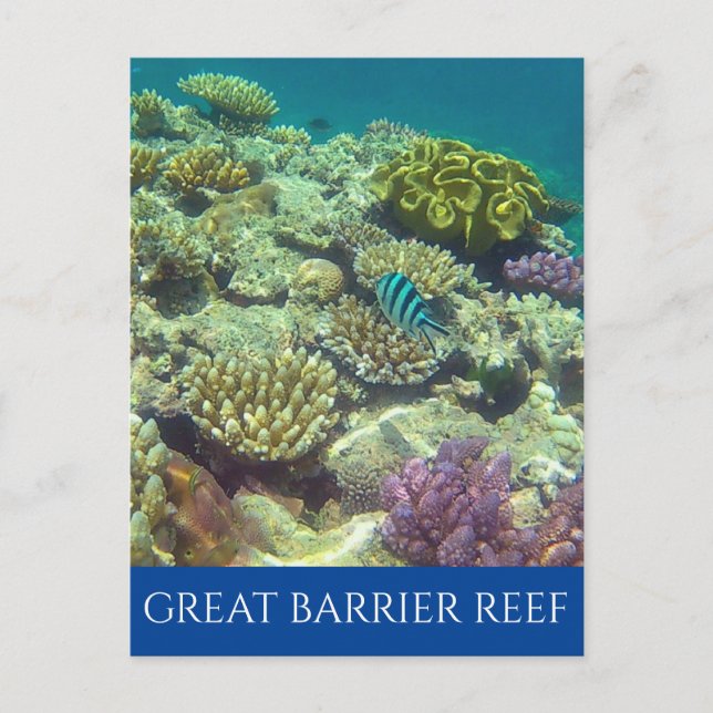 Austra Postkarte (Vorderseite)