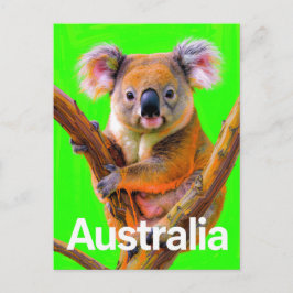 Australia Koala Bear Pop Art Postkarte