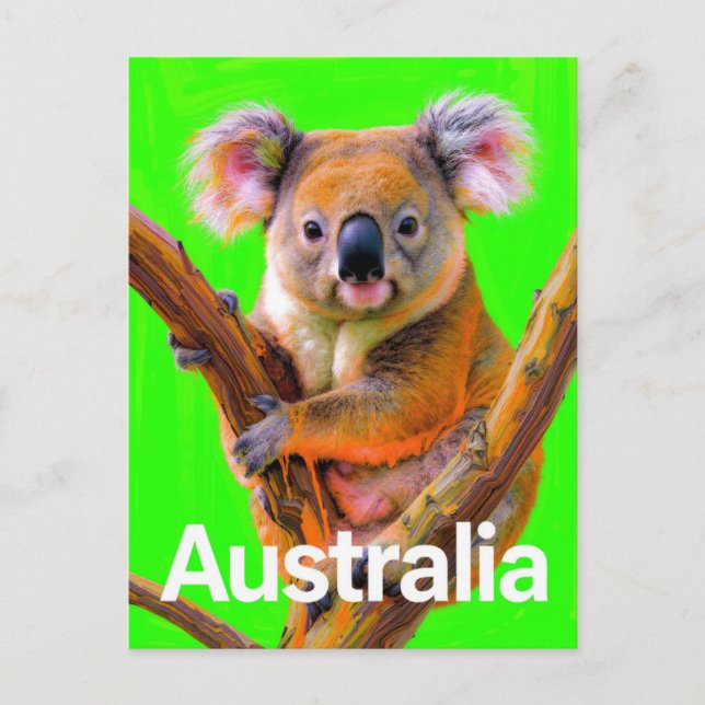 Australia Koala Bear Pop Art Postkarte (Vorderseite)