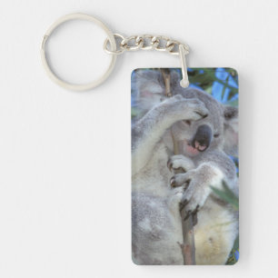 Australia, Koala Phasclarctos Cinereus) Schlüsselanhänger