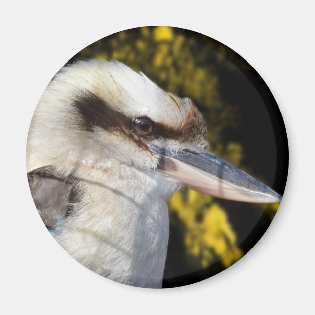 Australian Blue Winged Kookaburra, Magnet (Vorne)
