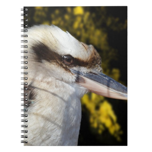 Australian Blue Winged Kookaburra, Notizblock (Vorderseite)