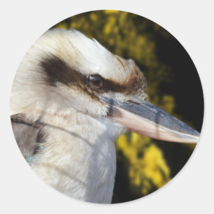 Australian Blue Winged Kookaburra, Runder Aufkleber