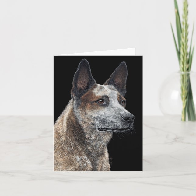 Australian Cattle Dog Card - "Jack" Karte (Vorderseite)