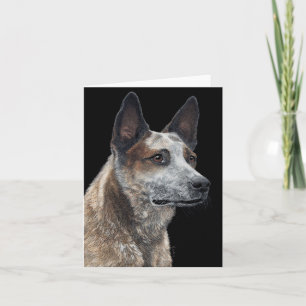 Australian Cattle Dog Card - "Jack" Karte