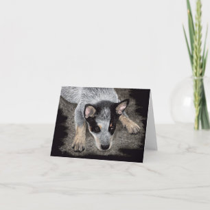 Australian Cattle Dog Pup Card - "Kona" Karte