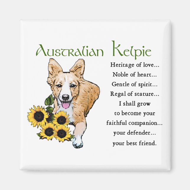 Australian Kelpie Gifts Magnet (Vorne)